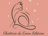 Chatterie du Cocon Sibérien