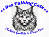 Des Talking Cats