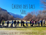 Chiens des Lacs