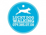 Luckydogwalking
