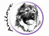 Anilove