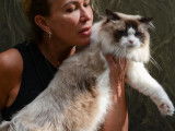 Dolce Amore