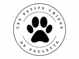 Les Petits Chiens de Paulette