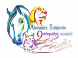 Alexandra Solakovic