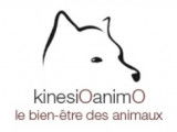 KinesiOanimO