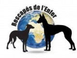 Rescapés de l'Enfer