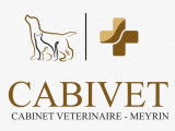 Cabivet