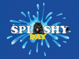 Splashy Day