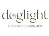 Doglight
