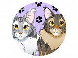 Patte et Pixel