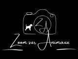 Zoom sur Animaux