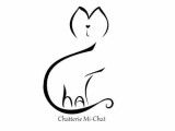 Mi-Chat