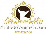 Attitude Animale