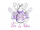 Les 4 lotus