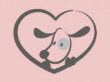 Lovely Dog