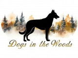 Dogs in the Woods