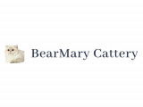 BearMary