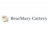 BearMary