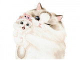 YiMeowDoll