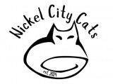 Nickel City Cats