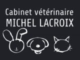 Michel Lacroix