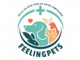 Feeling Pets