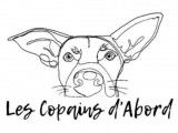 Les copains d’abord