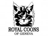 Royal Coons of Geneva
