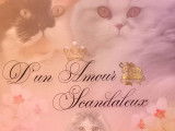 D'un Amour Scandaleux