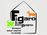 Figaro et compagnie