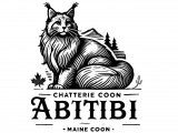 Coon Abitibi
