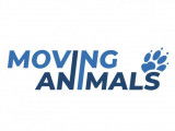 Moving Animals - Zurich
