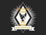 Alpha dream dog