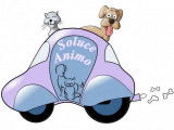 Soluce Animo