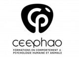 Ceephano