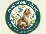 Symphonie Féline