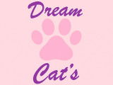 Dream Cat's - Un compagnon pour la vie