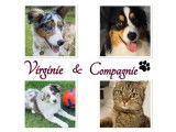 Virginie&Compagnie