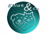 Elliot & Co