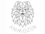 Animozen & co
