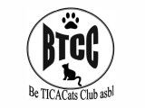 Be TICACats Club