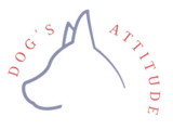 Dog's Attitude