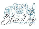 Blue Dog 58