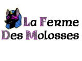 La Ferme des Molosses