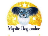 Mystic Dog Center