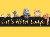 Cat’s Hôtel Lodge