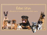 Éduc Life 