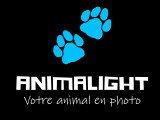 AnimaLight