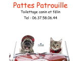 Pattes Patrouille