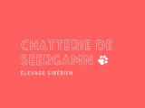 De Seergamn